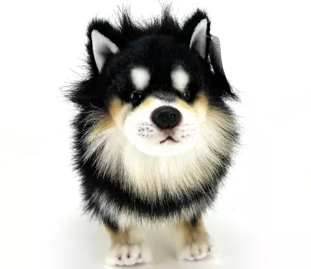 s=C3=B6p=C3=B6 koirapehmolelu lapinkoira - Lapsille - 6430018771922 - 2